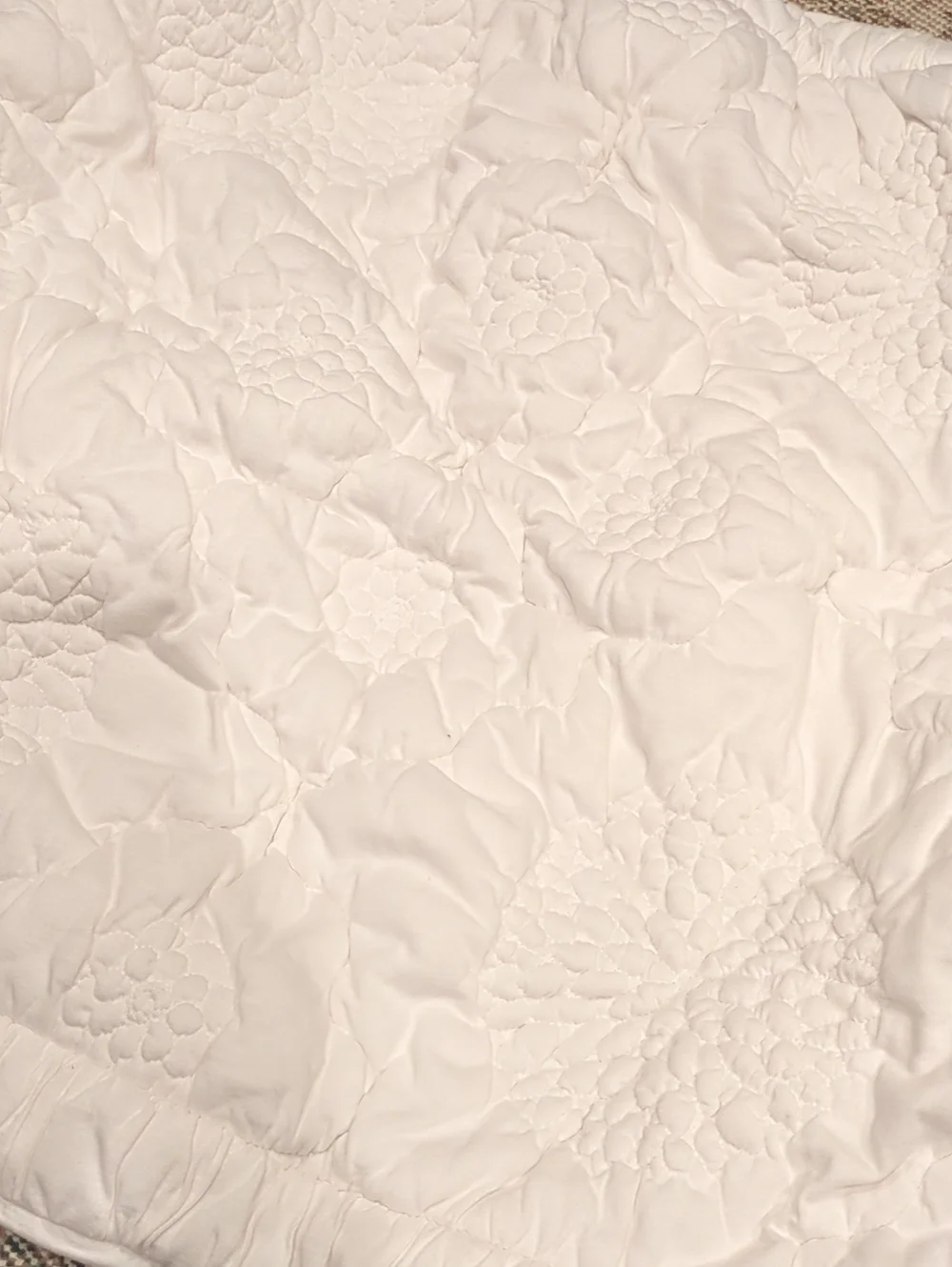 2 Anthropologie Dahlia 100% Cotton Jersey Floral Quilt Pillow Cases